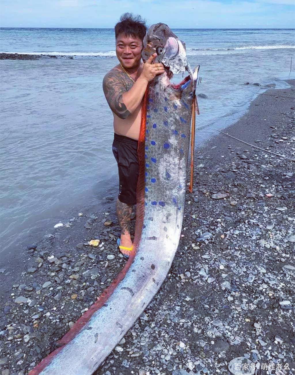 臺灣一男子海里釣獲260斤的大魚，看清模樣后，驚喜變成了驚嚇
