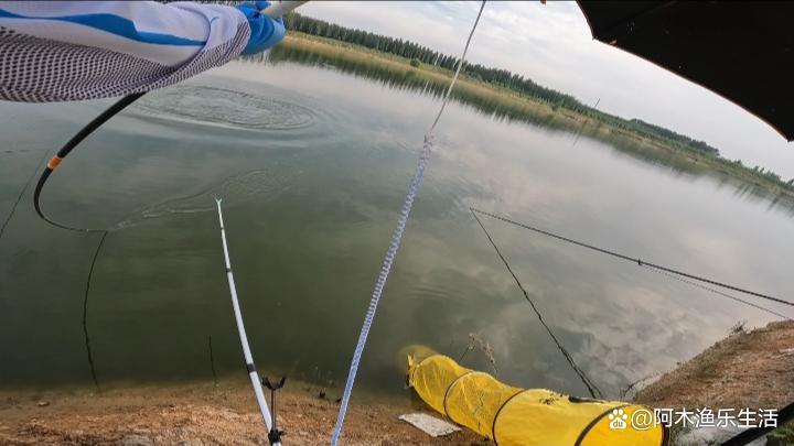 釣鰱鳙從什么時候開始找水層？