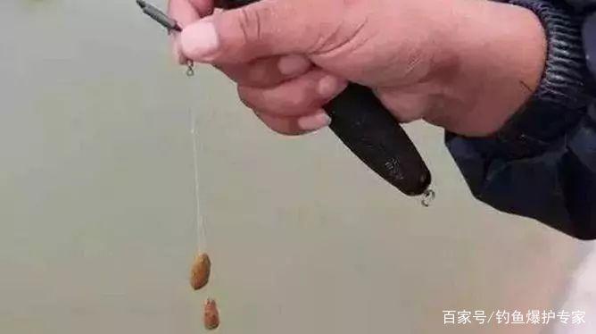 釣鯽魚，用什么餌料最好釣？