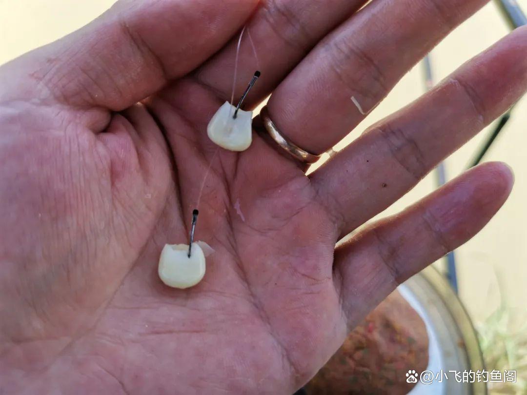 釣草魚只能用玉米？錯！其實這3種方法更適合野釣