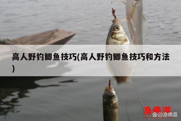高人野釣鯽魚技巧(高人野釣鯽魚技巧和方法)
