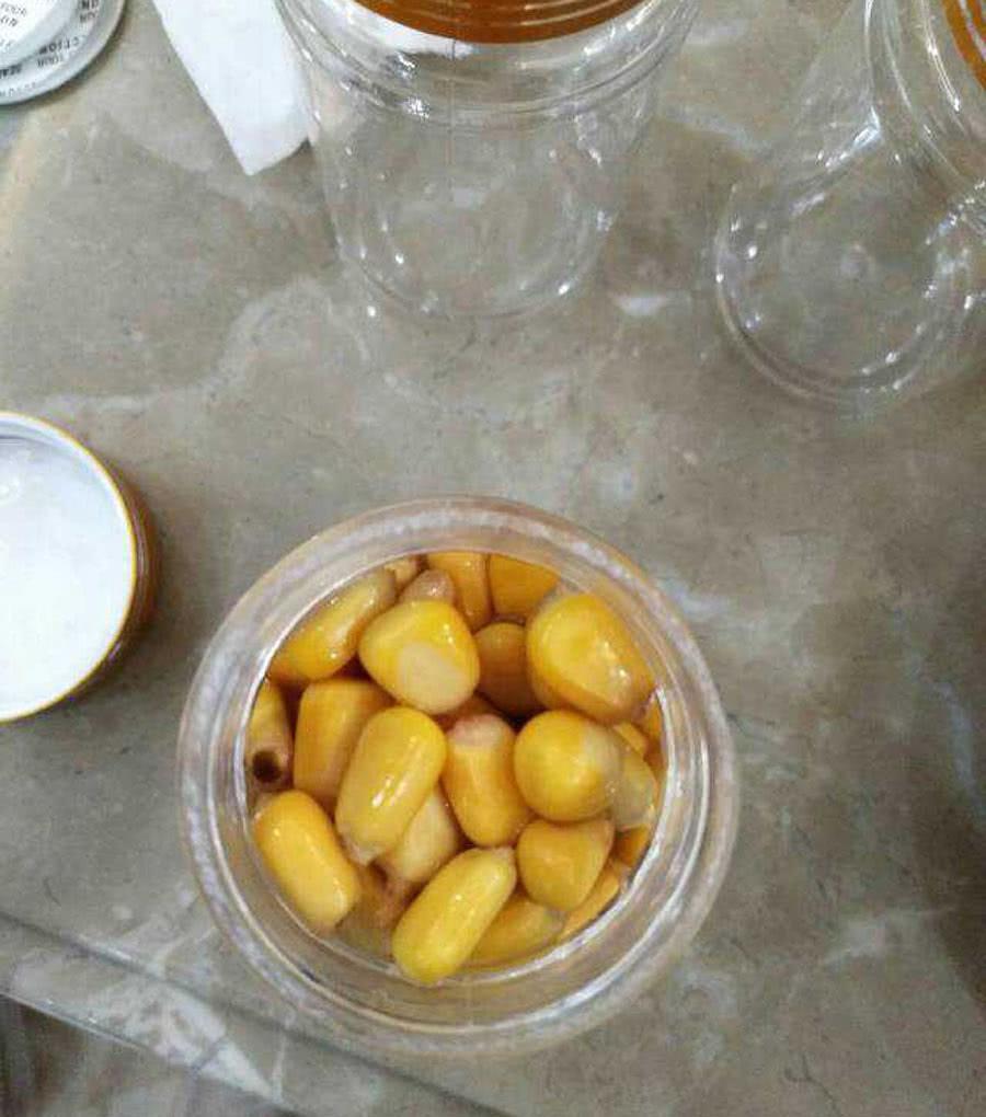 玉米釣鯉魚有竅門，技巧全在這里，學會后鯉魚排隊咬鉤