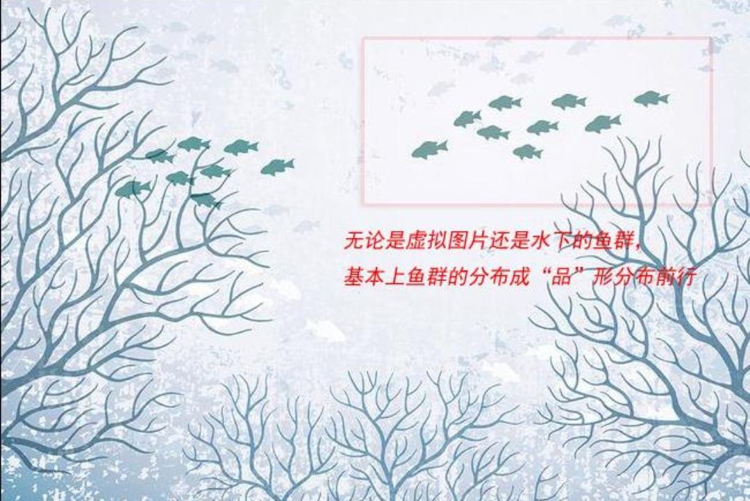 《海釣·磯釣·品形打窩》