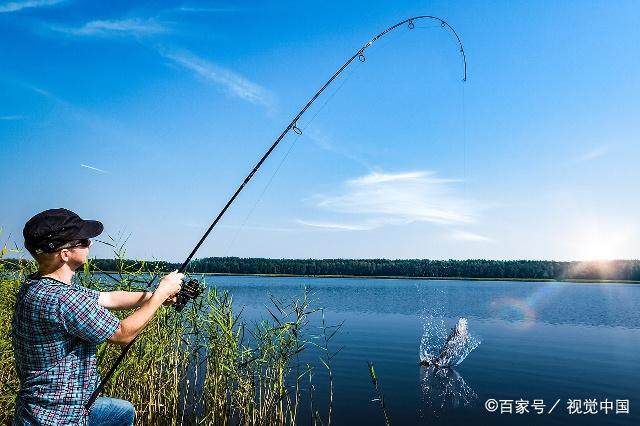 磯釣竿作手竿野釣，掌握這幾個技巧，讓你漁獲翻倍，不再跑魚