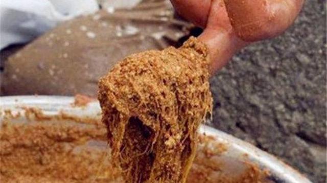 秋季釣羅非為啥空軍？釣友留意這“三點經驗”大羅非上不停