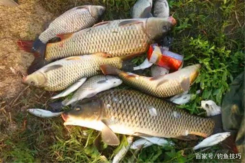 假餌釣法不是路亞的“專利”，民間不少假餌釣法，可惜沒能成體系