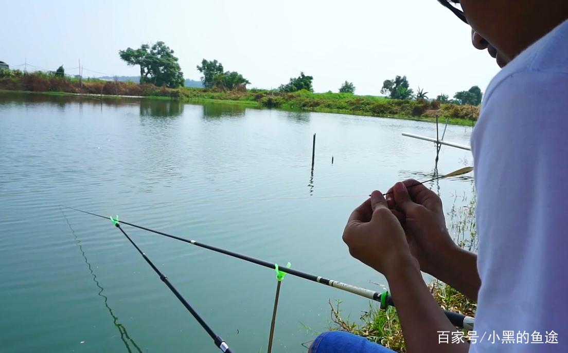 野釣鯽魚該調幾釣幾？三種方案應對所有魚情，這套思路釣王都在用