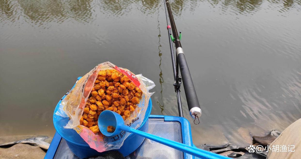 野釣打窩需注意，如果這三個問題處理不好，窩料再多也是白搭！