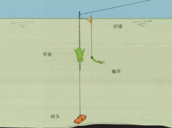 路亞竿浮釣草魚，除了線組和釣位，這一點才是提升漁獲的關鍵