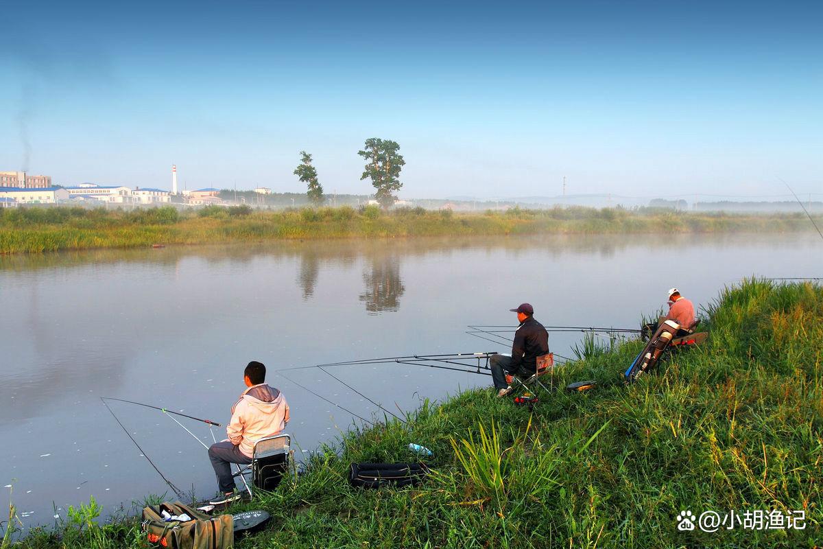 谷雨過后好釣魚，掌握這四個野釣技巧，助你漁獲裝滿兜！