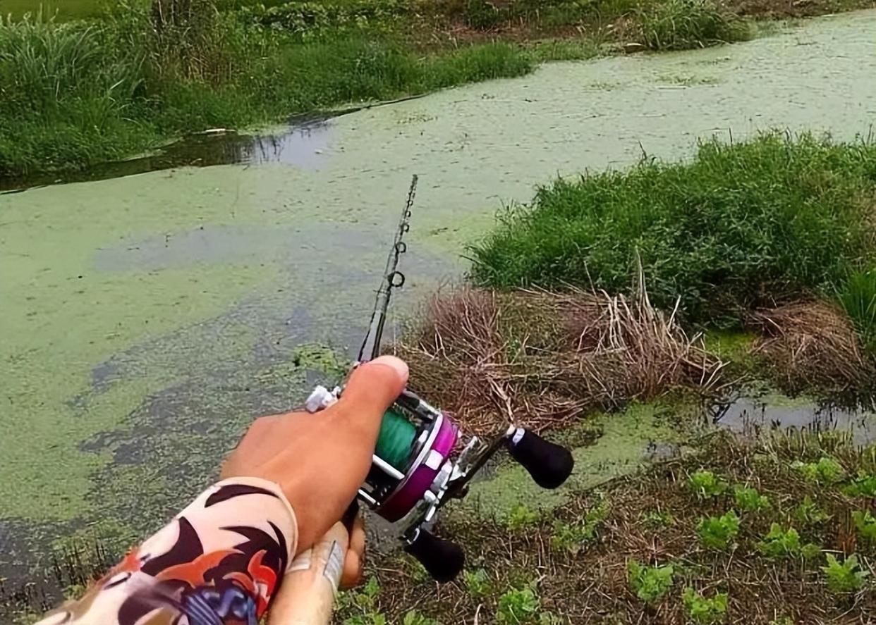春季這么釣黑魚太爽了！這幾點“重要技巧”讓你魚獲遠超釣友