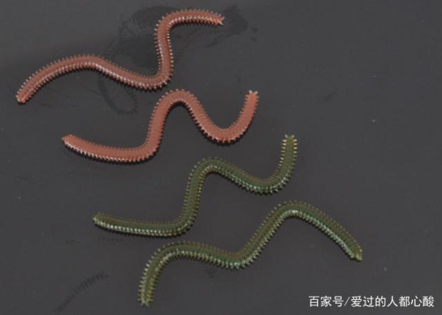 海釣磯釣時沙蠶魚餌最受歡迎，但是以下這些，你都知道嗎