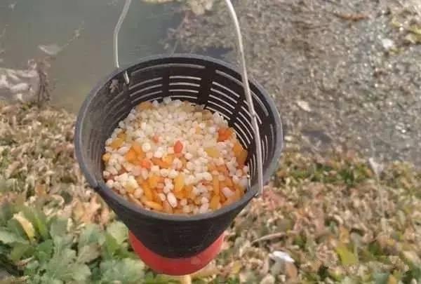釣鯉魚，只要掌握3大技巧，釣多少，你來定！