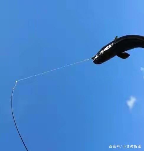分享野釣大黑魚的佳使用技巧