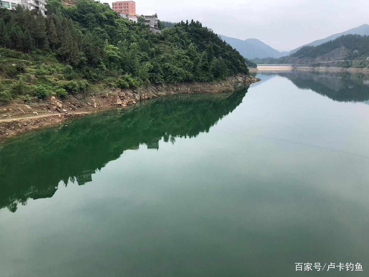 釣鯽魚用什么餌料好？分清這幾點不空軍