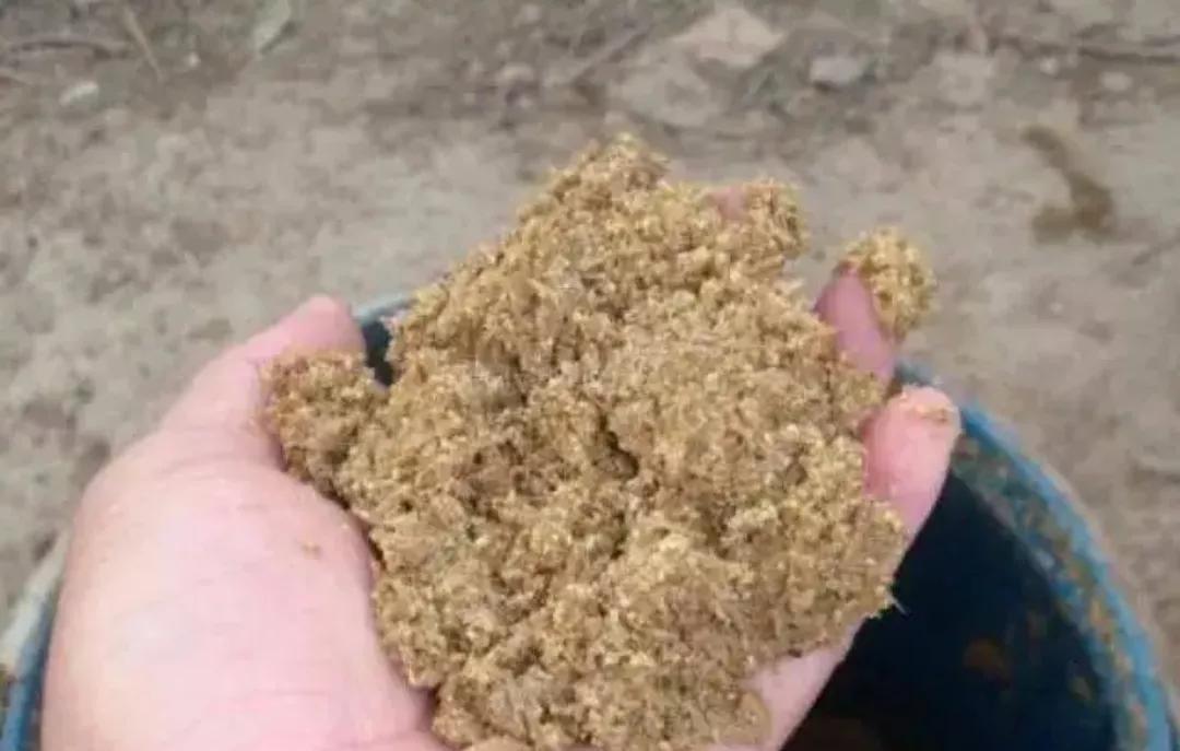 野釣鰱鳙如何打窩？區分情況區別對待，不能固守一種方式