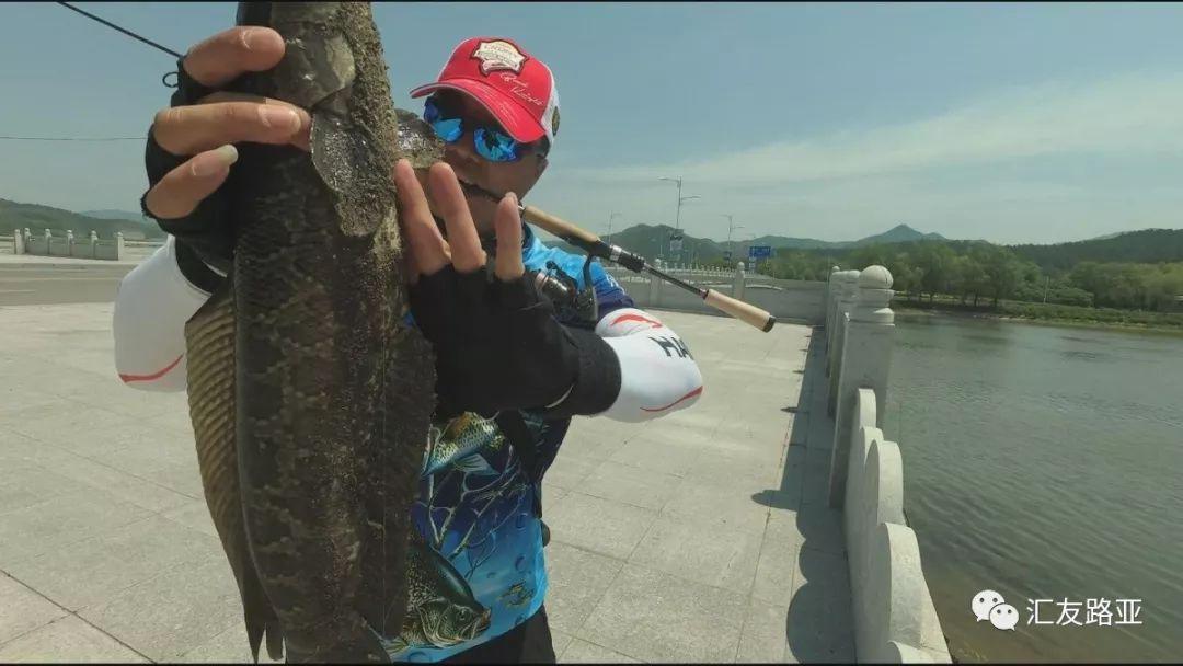 路亞目視作釣黑魚視頻