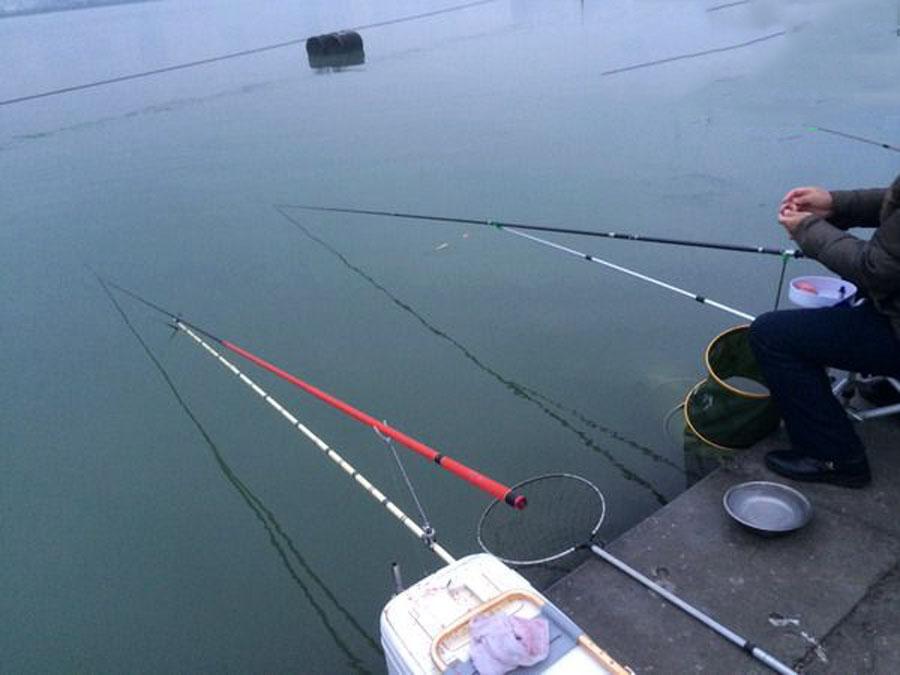 冬季鰱鳙難釣嗎？實戰經驗讓我打破了這個偏見
