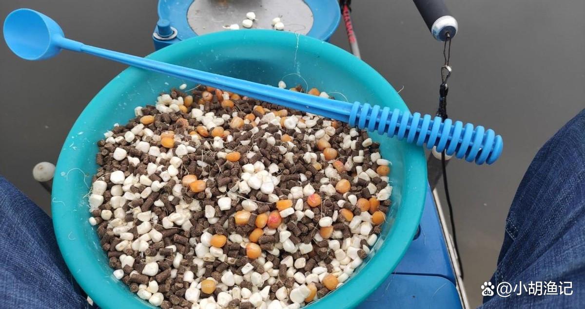 谷雨過后釣鯉魚，掌握這5個關鍵點，輕松收獲大鯉魚！