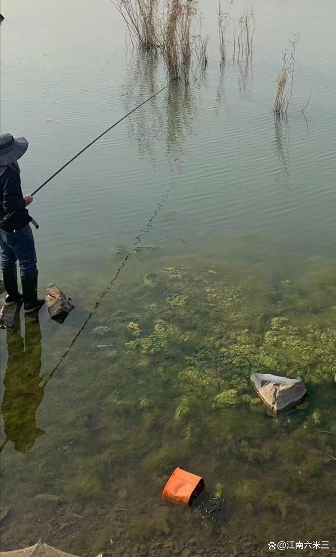 春季釣鯽絕佳釣位在這里