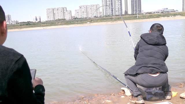 冬季野釣鯉魚攻略，一條就爆護，得找準地方