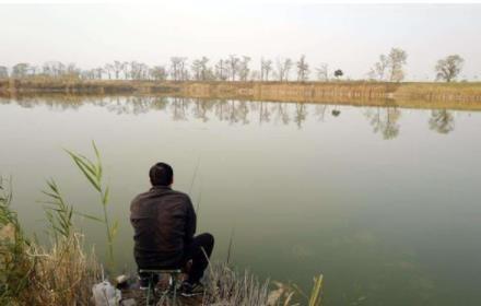 如何釣到狡猾的黑魚，看這里，黑魚乖乖上鉤！