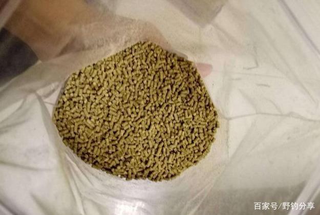 釣魚：如何選擇一款餌料？先從這3個基礎認識入手！