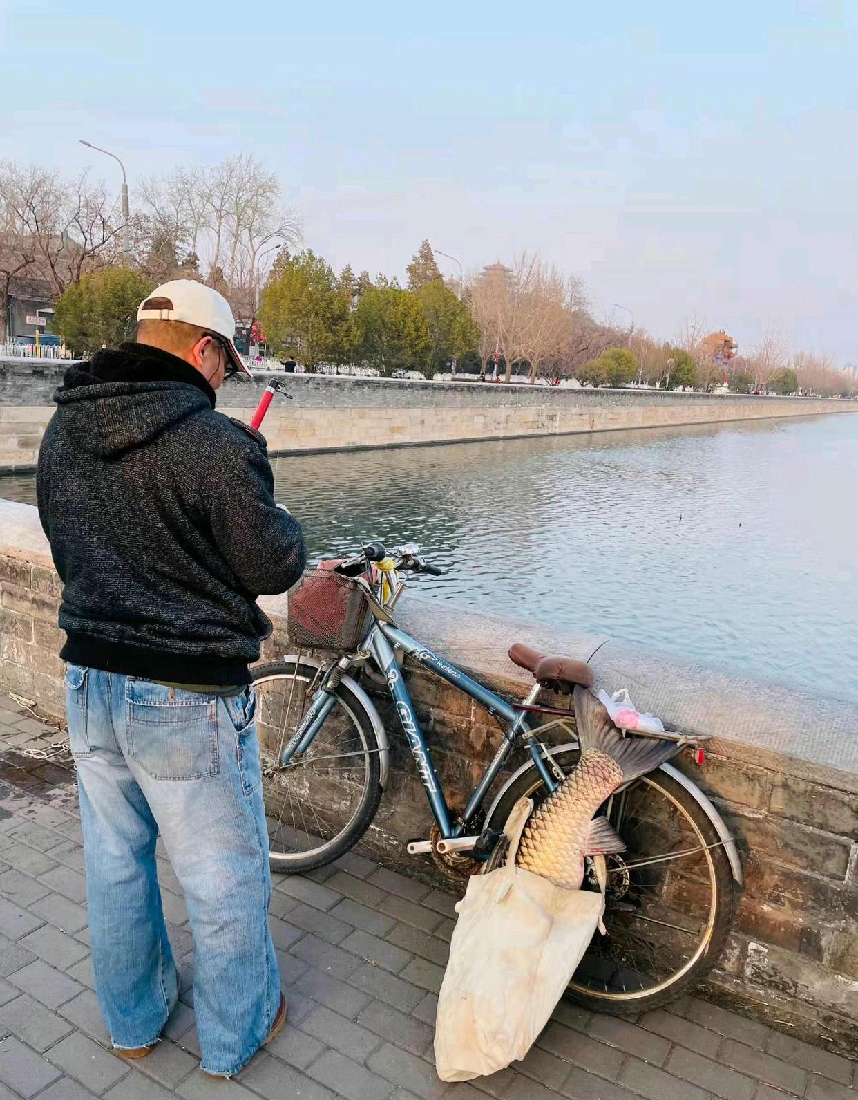 男子釣起故宮護城河的“草魚王”，網友：你這是動了龍氣！