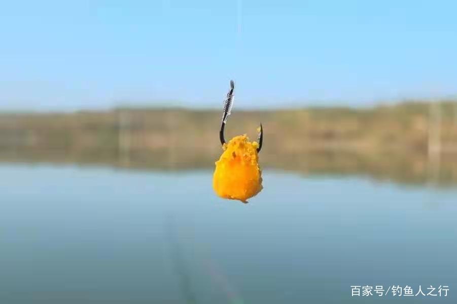 春天手竿釣鯉魚的攻略與竅門，低密度也可以，只要水里有