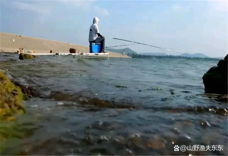 夏天垂釣鯉魚需要注意哪些方面？學會這五個方面，何愁魚兒不上鉤
