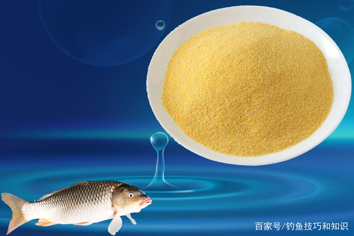 釣魚餌料、窩料和釣餌有什么區別？餌料、窩料和釣餌的概念詳解