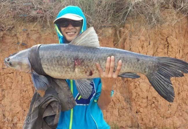 黑坑釣青魚想上岸太難，看看這些霸王條款，黑不黑一目了然