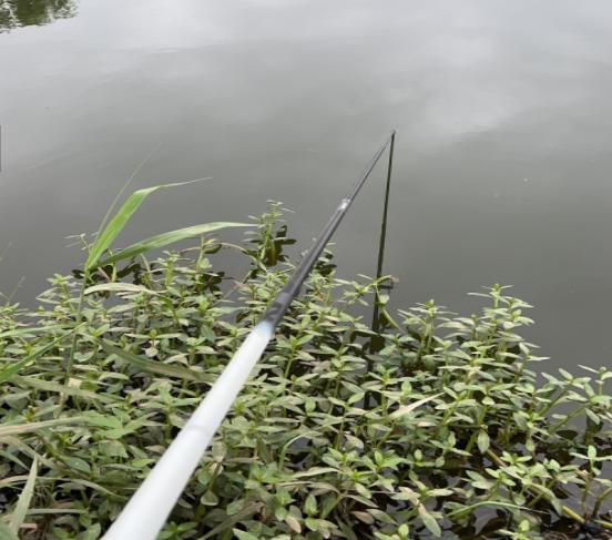 釣鰱鳙6個實用技巧，如何做到不再錨魚？鉤距、水層影響中魚幾率