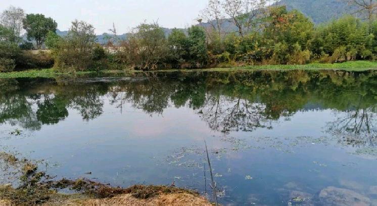 春季釣魚必釣淺？釣位就該這樣選，讓你狂拉不停到手軟