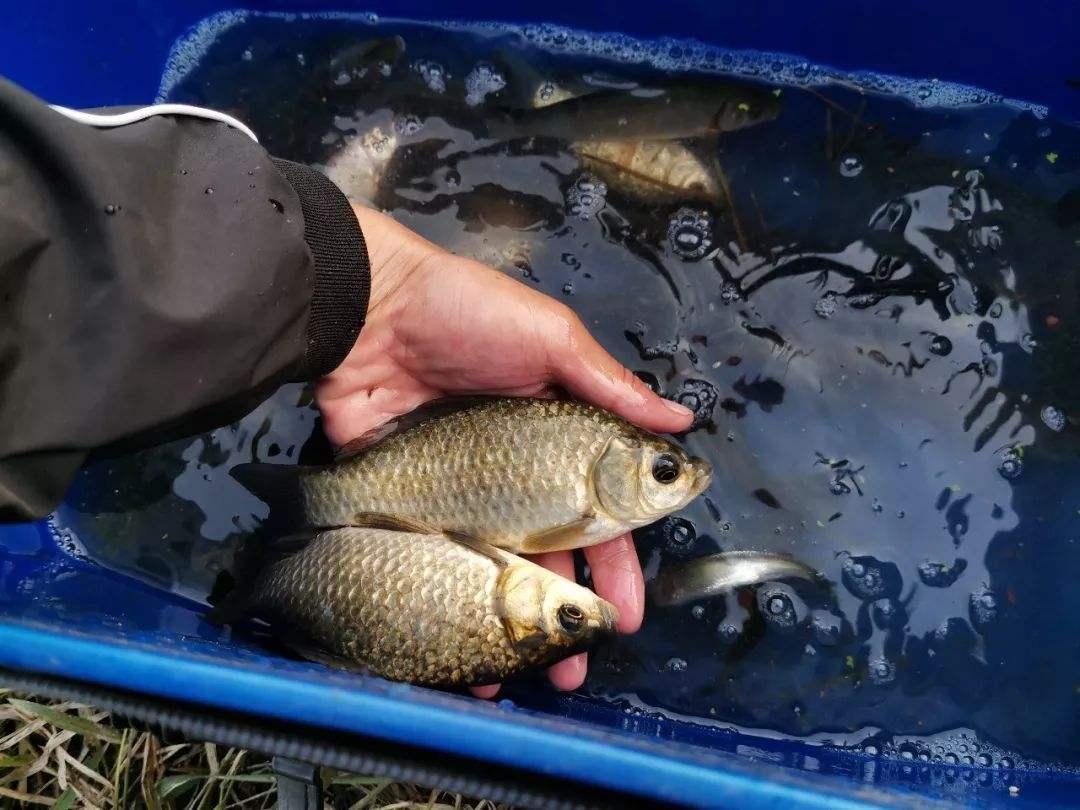 釣魚想要有漁獲，這幾種思路比釣法更重要
