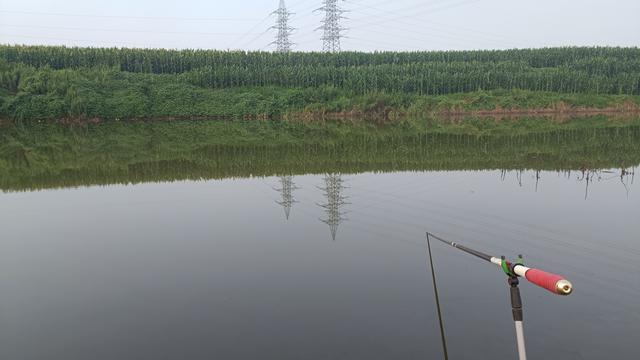 春季野釣“大板鯽”的黃金法則，選餌選位是重點，吃透爆護不難
