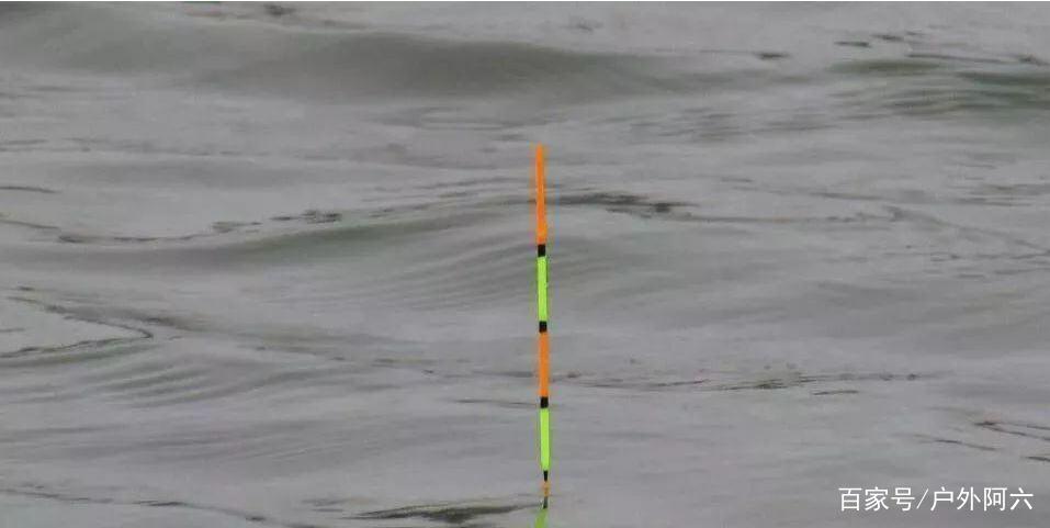 談談手竿浮釣鰱鳙時浮漂的選擇，水庫釣魚戶外野釣大頭魚選浮漂