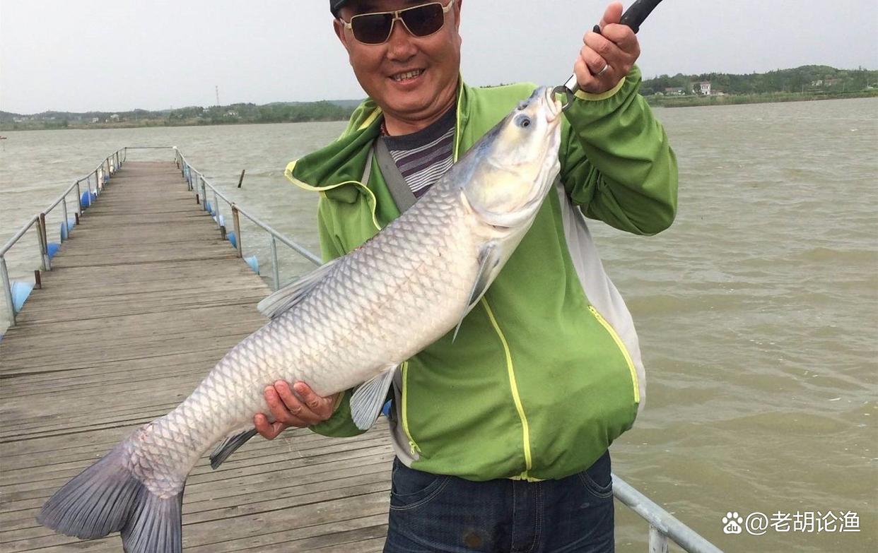 守釣青魚難度大？靈活運用這2個技巧，讓你翻身當大佬