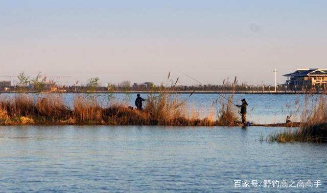 5種野釣技巧，學會魚乖乖上鉤，讓你上魚不斷，天天爆護！