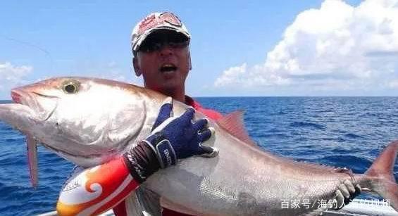鐵板釣法技巧以及需用到的釣具介紹 釣魚技巧 海釣攻略