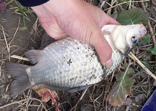 野釣怎么選釣位？這3個位置才是“萬能釣位”，個個都是魚窩