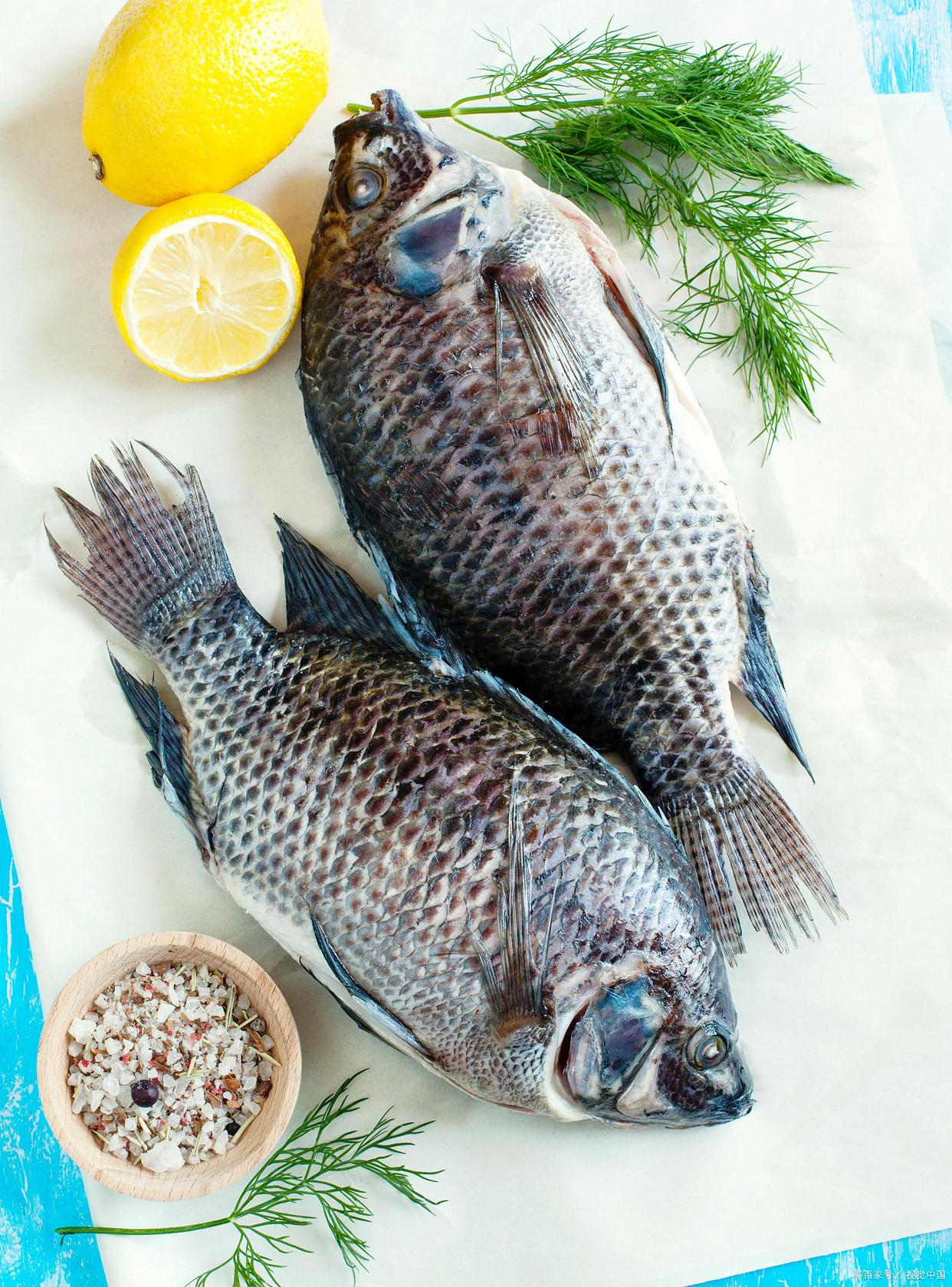 春季怎么釣羅非魚（春季怎么釣羅非魚最好）