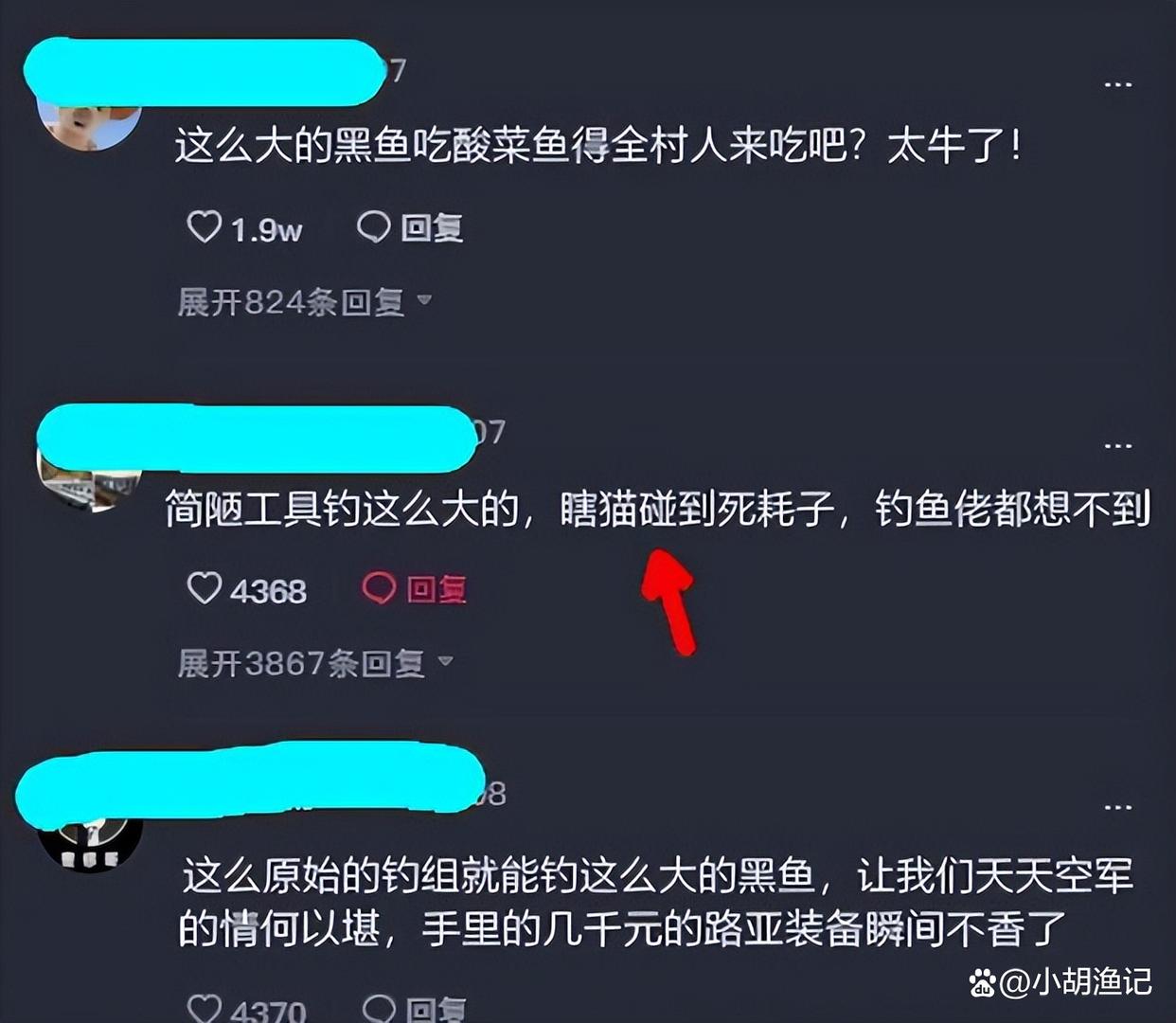 厲害了我的叔！溫州大叔手竿加七星漂巧釣大黑魚，全長約一米