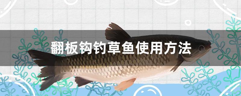翻板鉤釣草魚使用方法