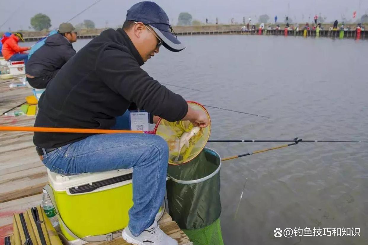 果酸在春季釣黑坑鯉魚是否有用？果酸在釣黑坑鯉魚時的作用和用法