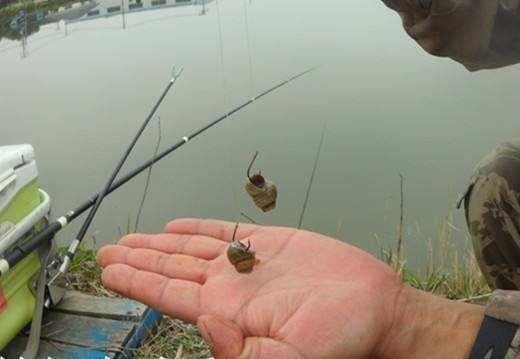 掌握釣青魚的技巧，冬天釣青魚比鯽魚還好釣，氣溫再低也不怕