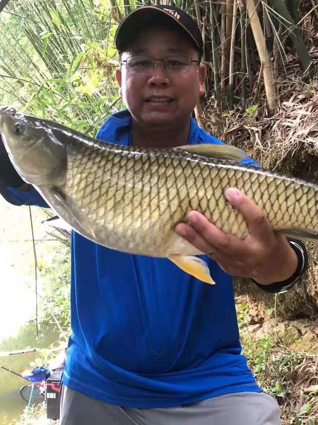 夏季野釣草魚攻略，三個水層同時釣，一條就能爆護