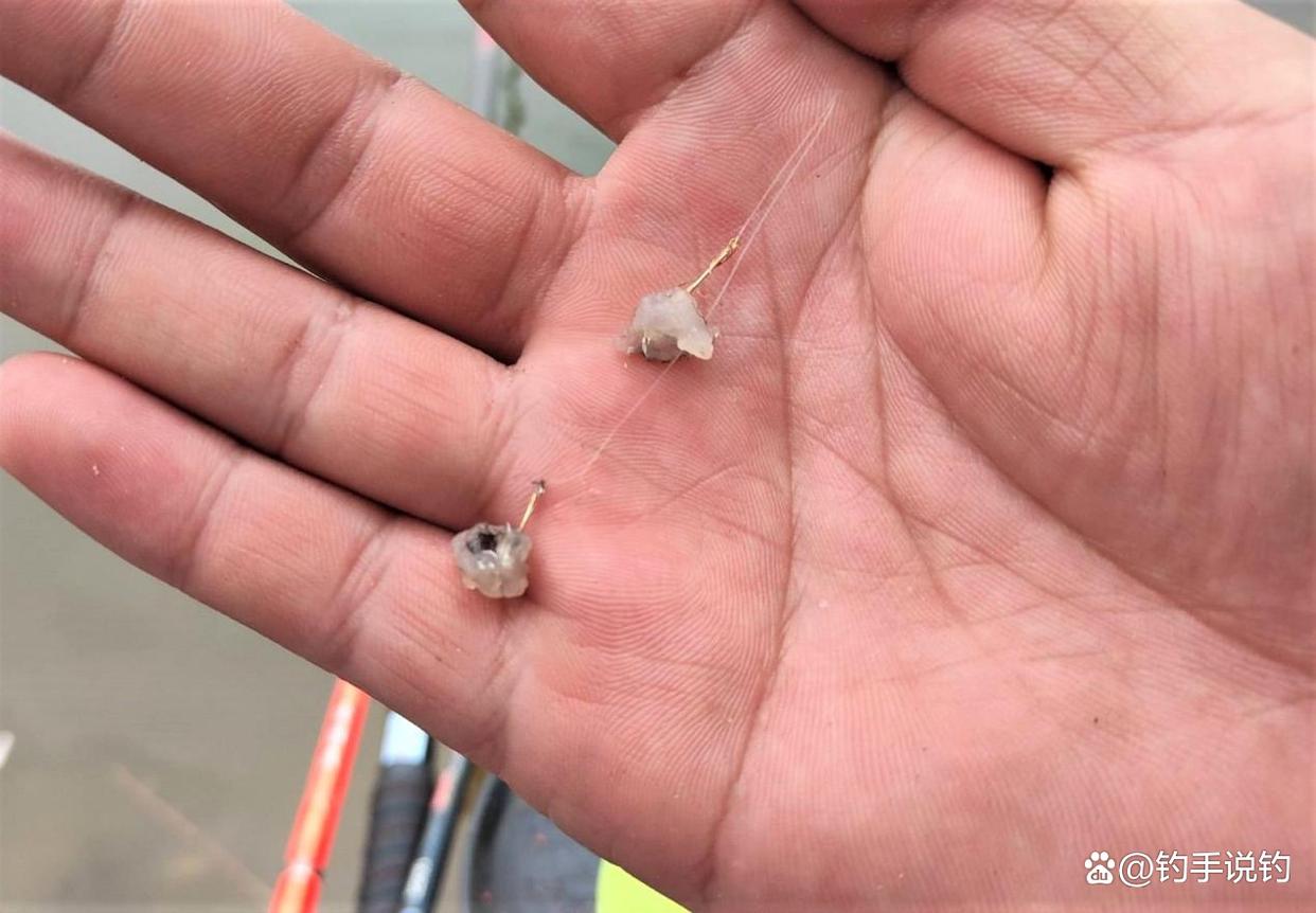 為什么冬季比夏季更好釣鯽魚？釣魚用這幾種腥味，釣的魚又多又大