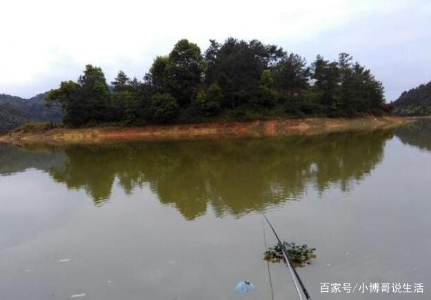 釣鳊魚的小技巧，在釣位上有什么選擇，小編我來告訴你！