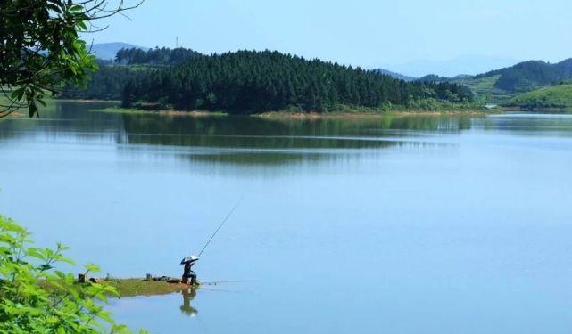 春季釣鳊魚的5個秘訣，掌握了以后，釣鳊魚非常簡單